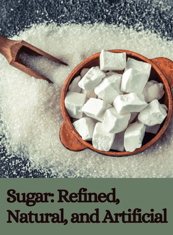 Exploring the Varied Types of Sugar: Understanding the Impact on Your Health and Well-being